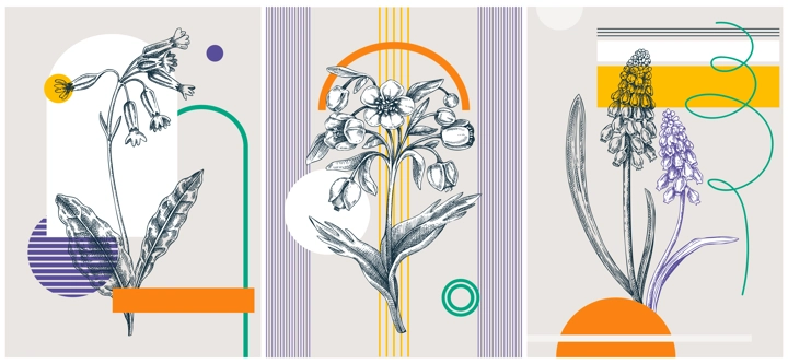Collage-style spring flower vector illustration. Hand-sketched floral banner set. Trendy design with botanical elements and geometric shapes. Elegant wildflowers for sketch print, poster, and card